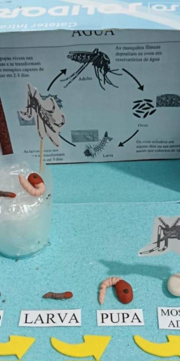 WhatsApp Image 2026-04-02 at 09.50.59.jpeg